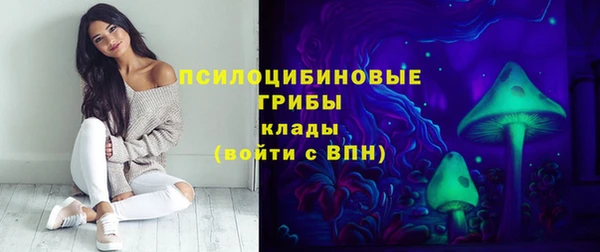 гидра Армянск