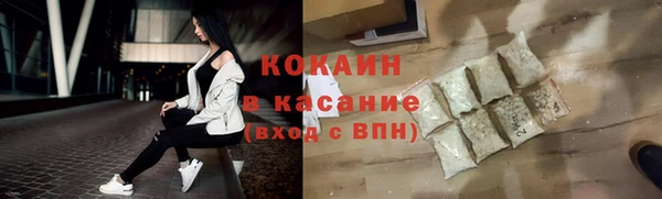 хмурый Арсеньев