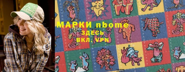 хмурый Арсеньев
