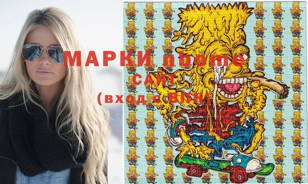 хмурый Арсеньев