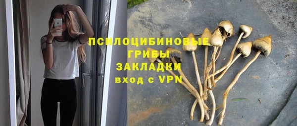 гидра Армянск