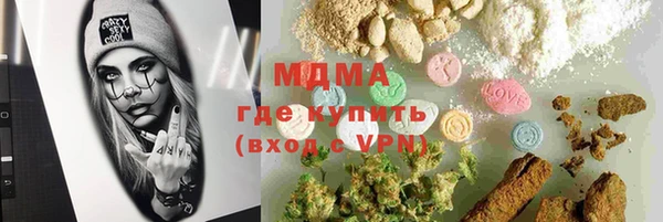 хмурый Арсеньев