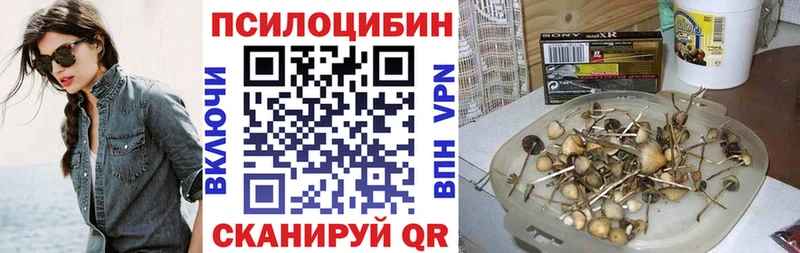 Псилоцибиновые грибы Psilocybine cubensis  Разумное 